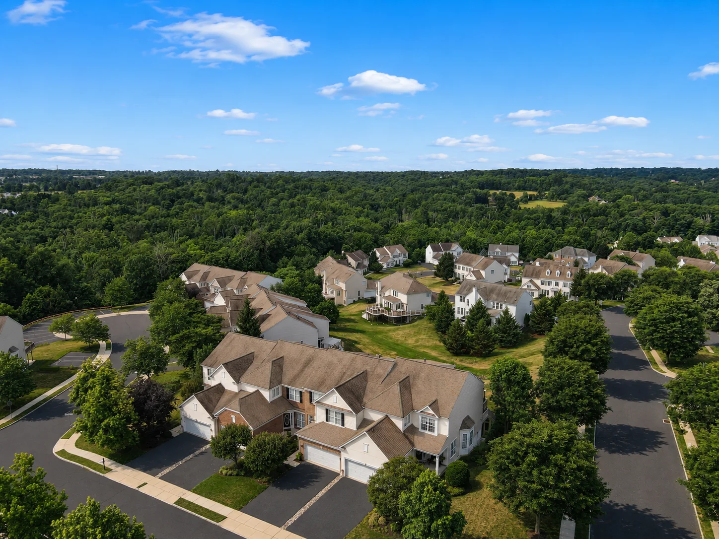 Homes in Bridge Valley at Furlong