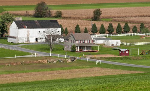 Farm in Chalfont, PA
