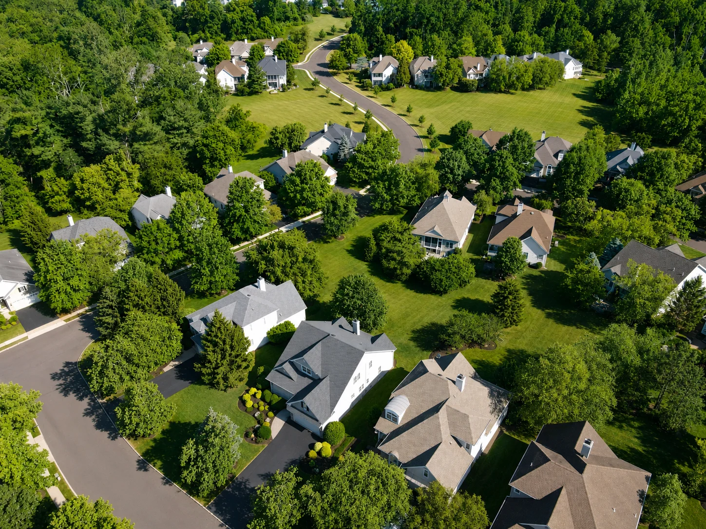 Homes in Fox Run Preserve in New Hope