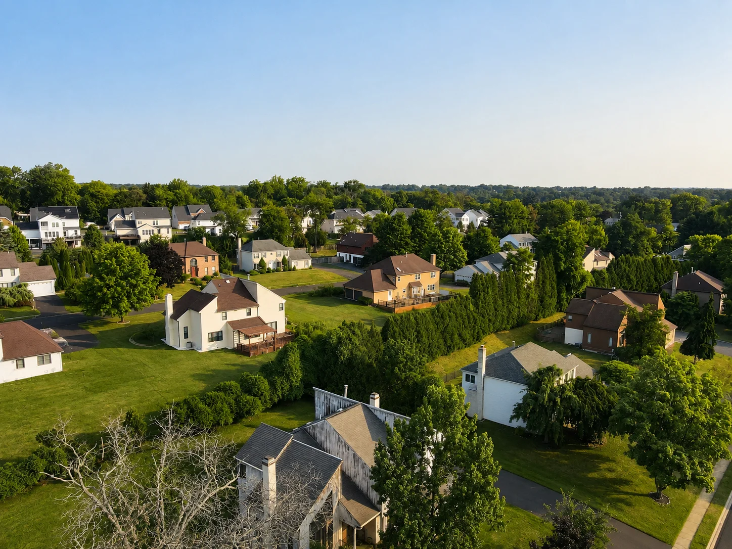 View of Longfield Woods in Southampton PA
