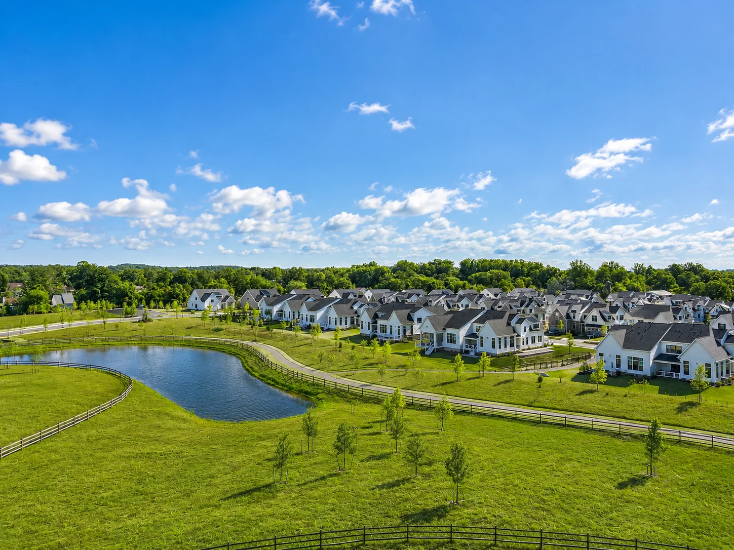 Homes in Regency at Stone Meadows Farm