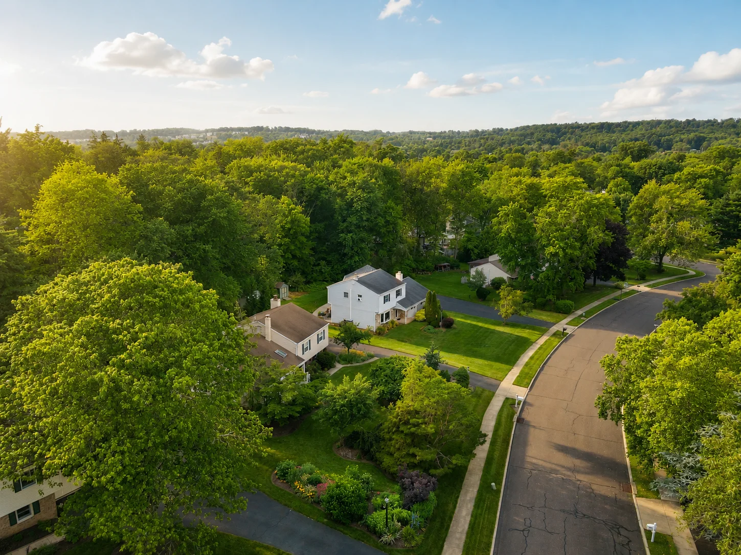 View of Tower Hill Woods in Chalfont PA